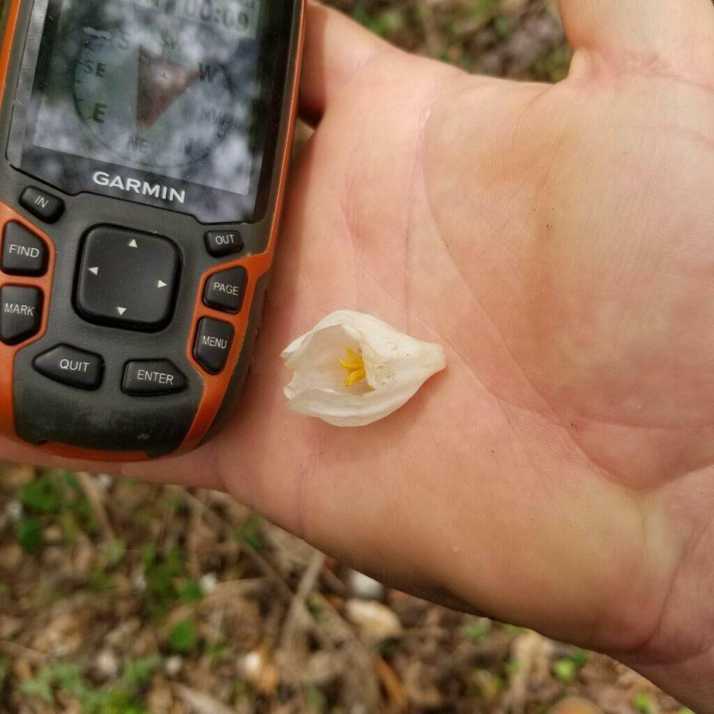 20210415_135433-1024x1024