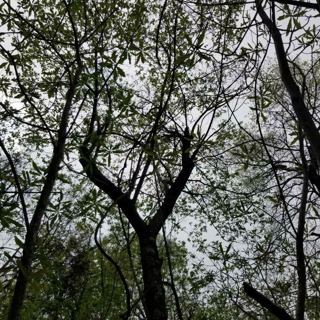 20210415_140115-1024x1024