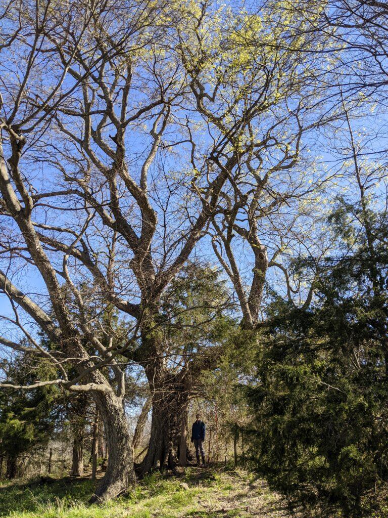 2022 State Champion Hackberry 3