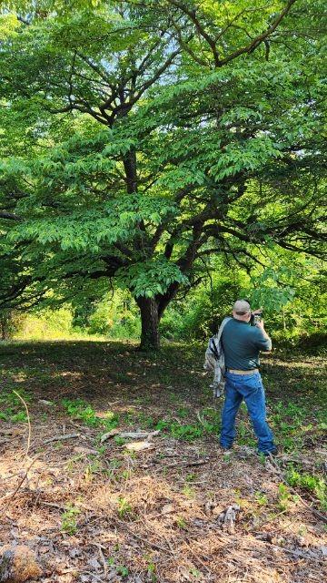 2023.07.18 Champion Dogwood pic. 3 Scott VanHook pictured