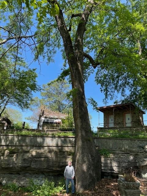 2024 Black Gum - State Co-Champion