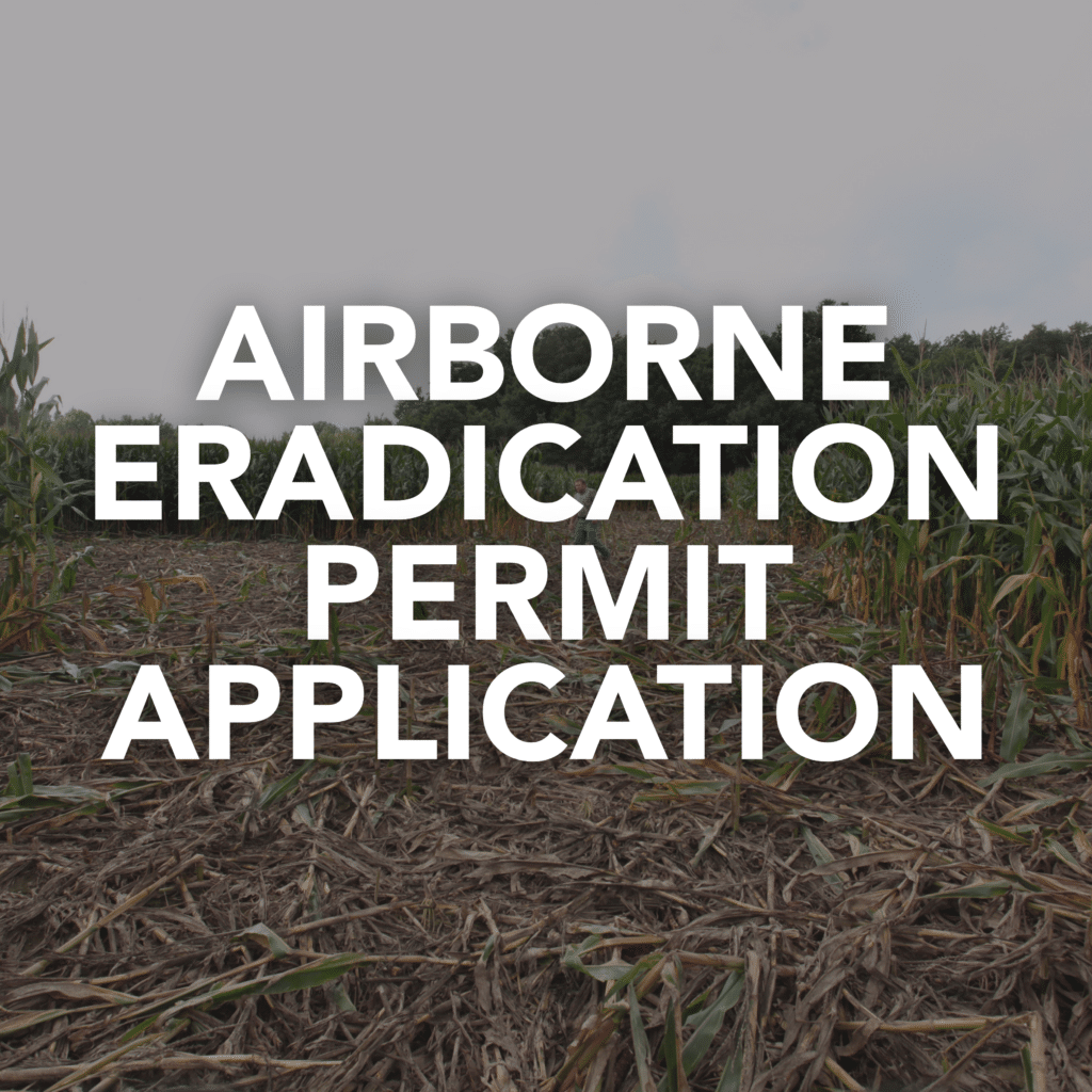 image of feral hog damage to corn field with text that says "airborne eradication permit application"