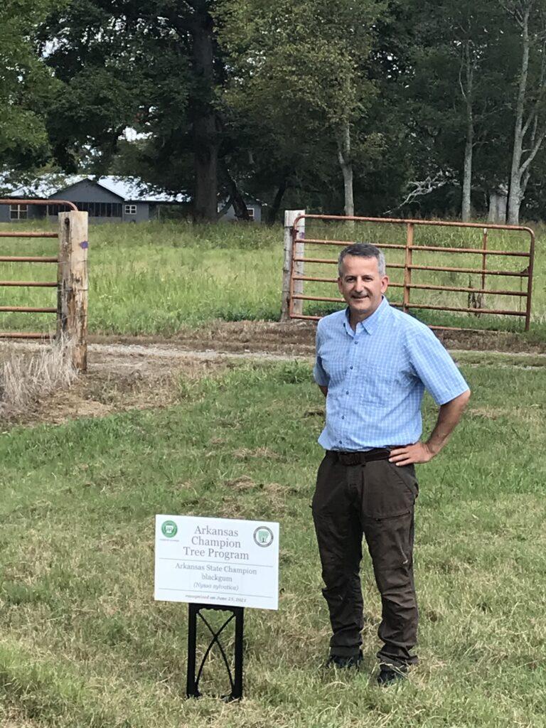 Champion black gum tree with sign 1