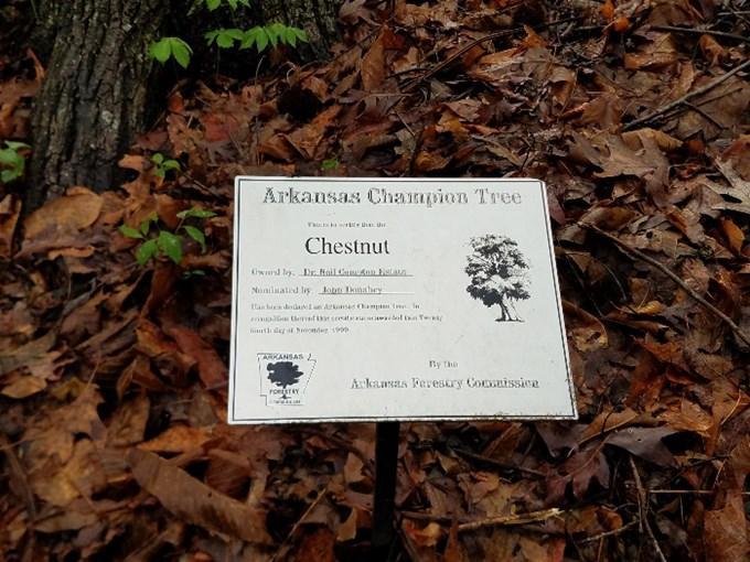Chestnut-sign