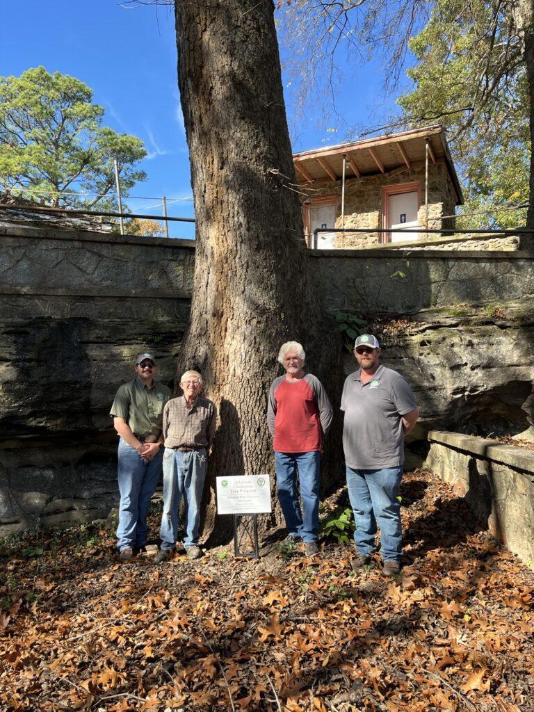 Co-champion black gum with sign