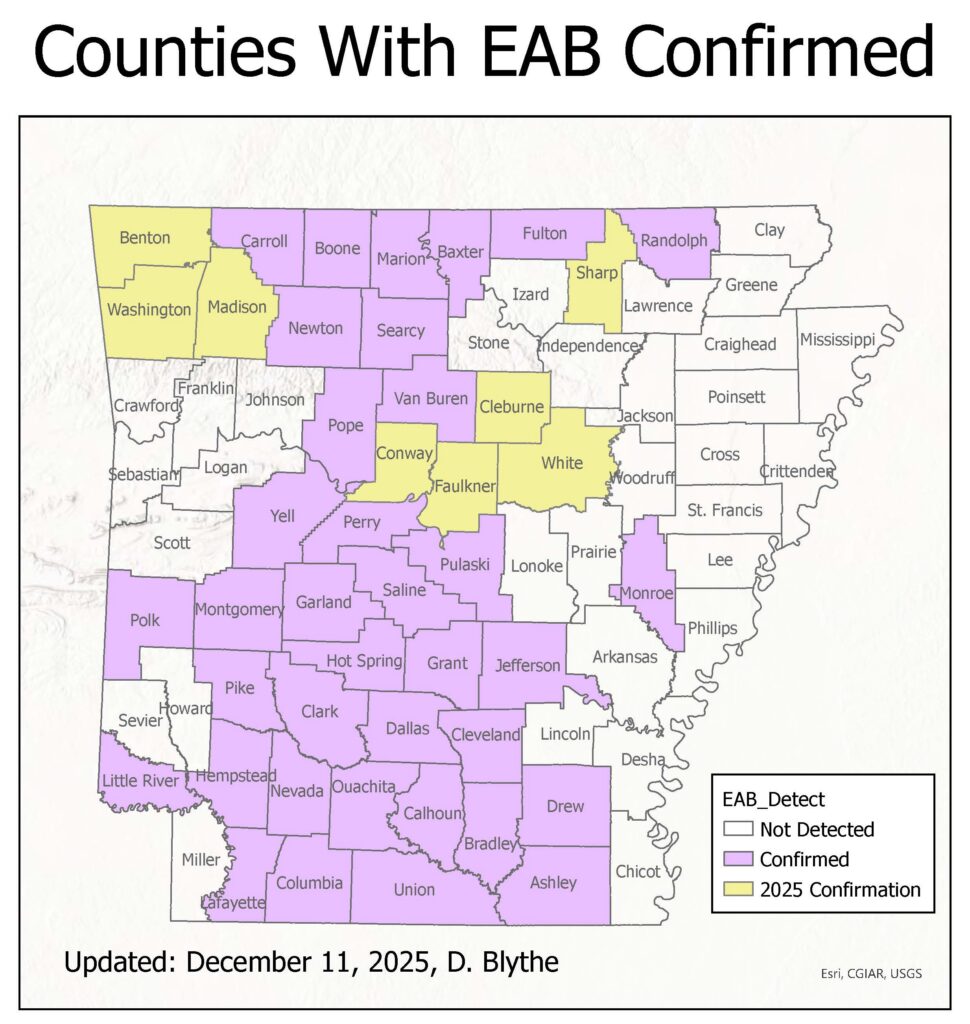 Emerald ash borer (EAB) confirmed counties in Arkansas.