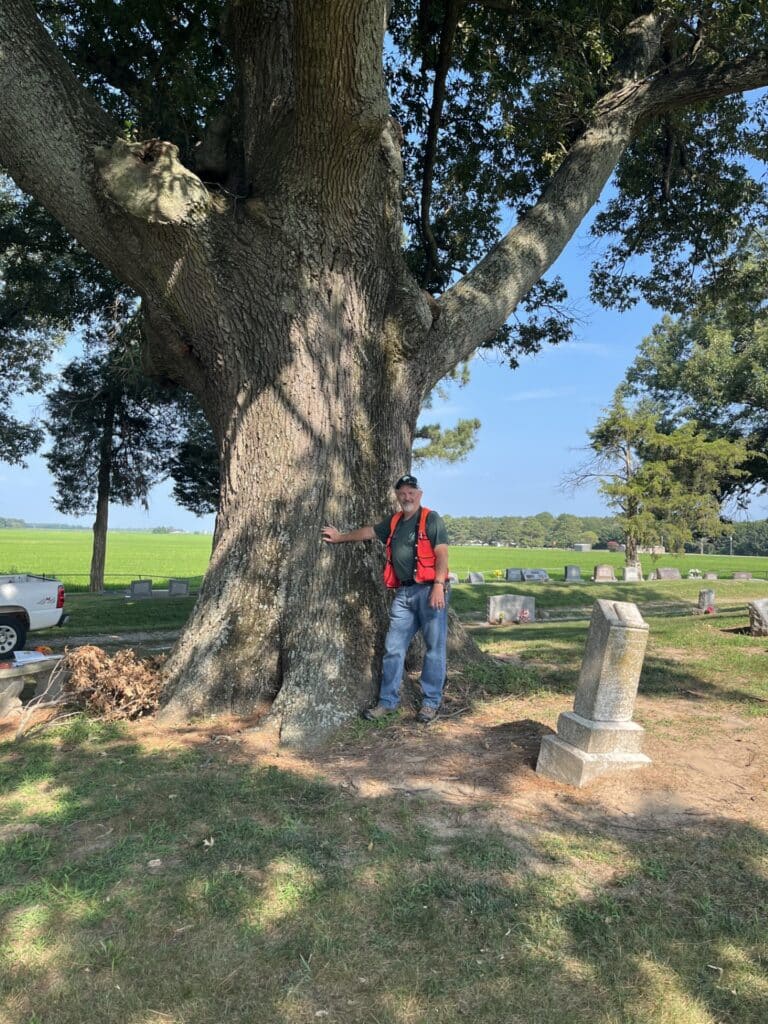 Southern Red Oak Champion Tree