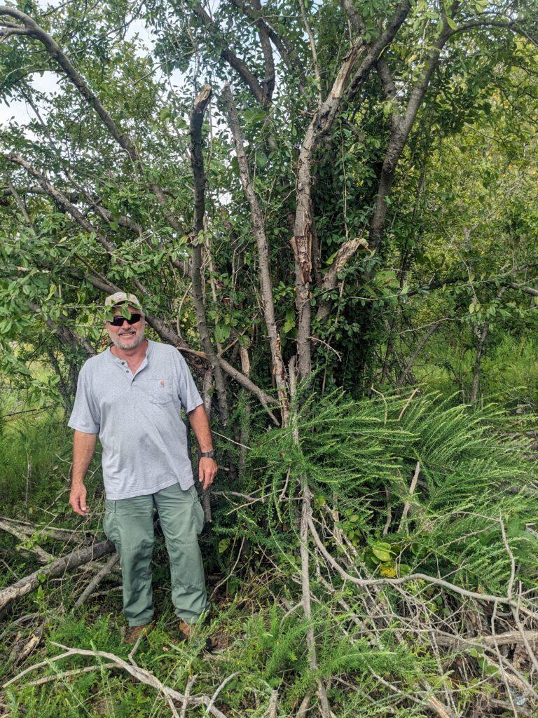 Possumhaw champion 2