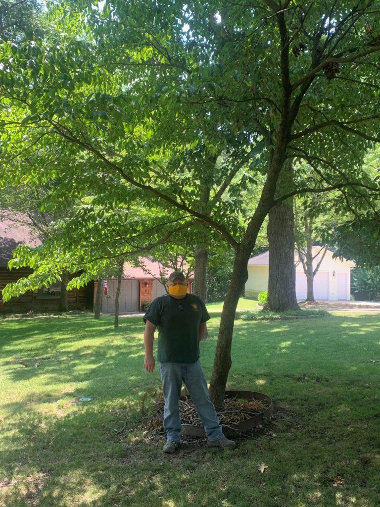 Roughleaf-Dogwood-1-768x1024