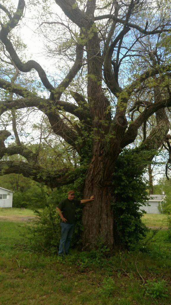 Sassafras-Champion-Mountain-Home-4-29-20-576x1024