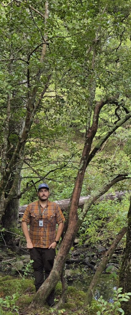 Sparkleberry champion tree - Nominator Ben Thesing 1