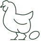 Chicken Icon