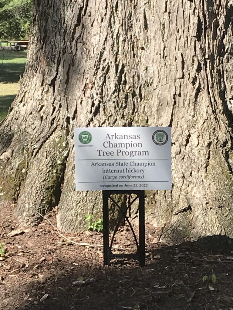 bitternut hickory sign 1