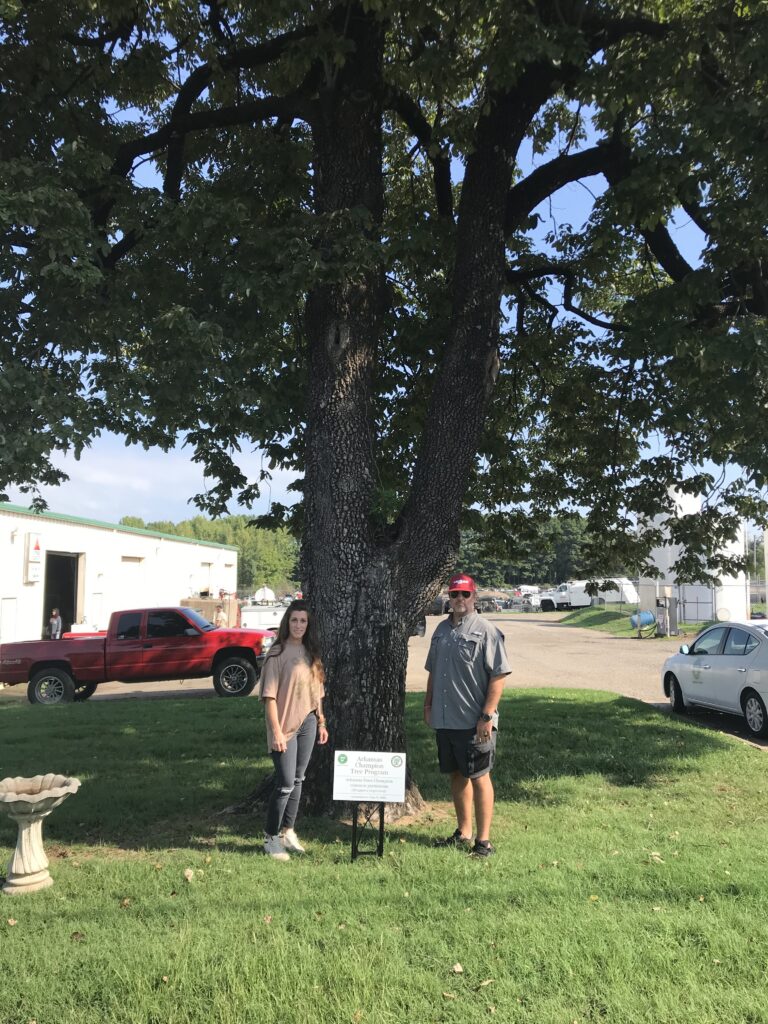 common persimmon champion tree sign 1