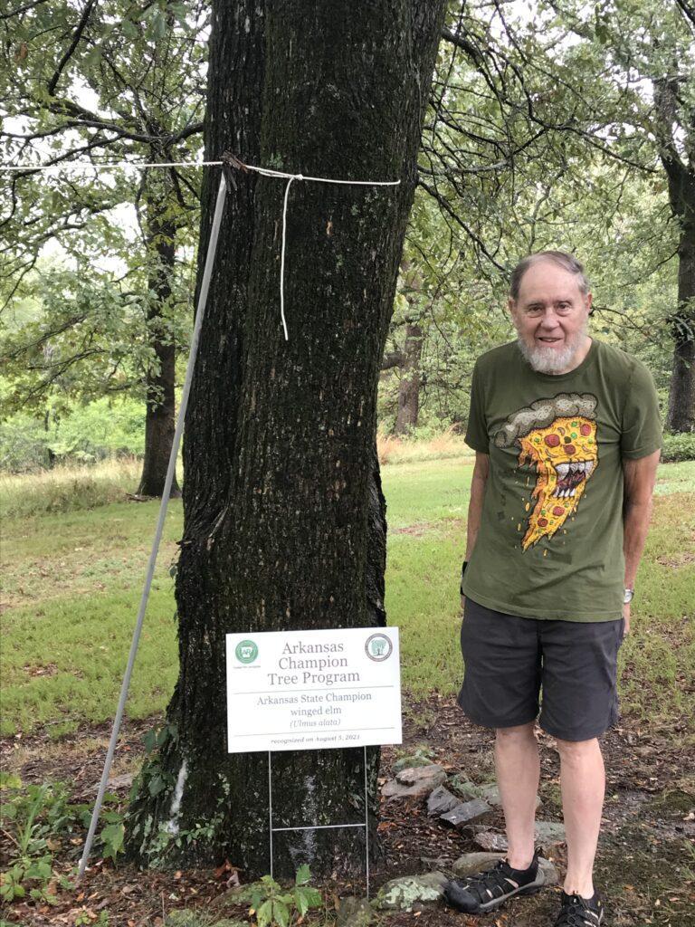 winged-elm-signage-picture-1-768x1024