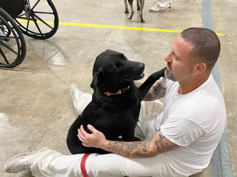 a dog with an inmate enjoying time together