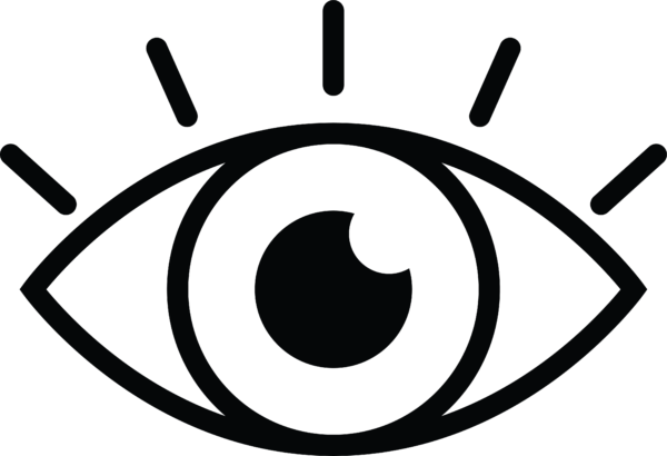 Vision Referral Form Icon