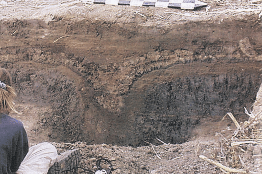 New Madrid Earthquake Rock Damage